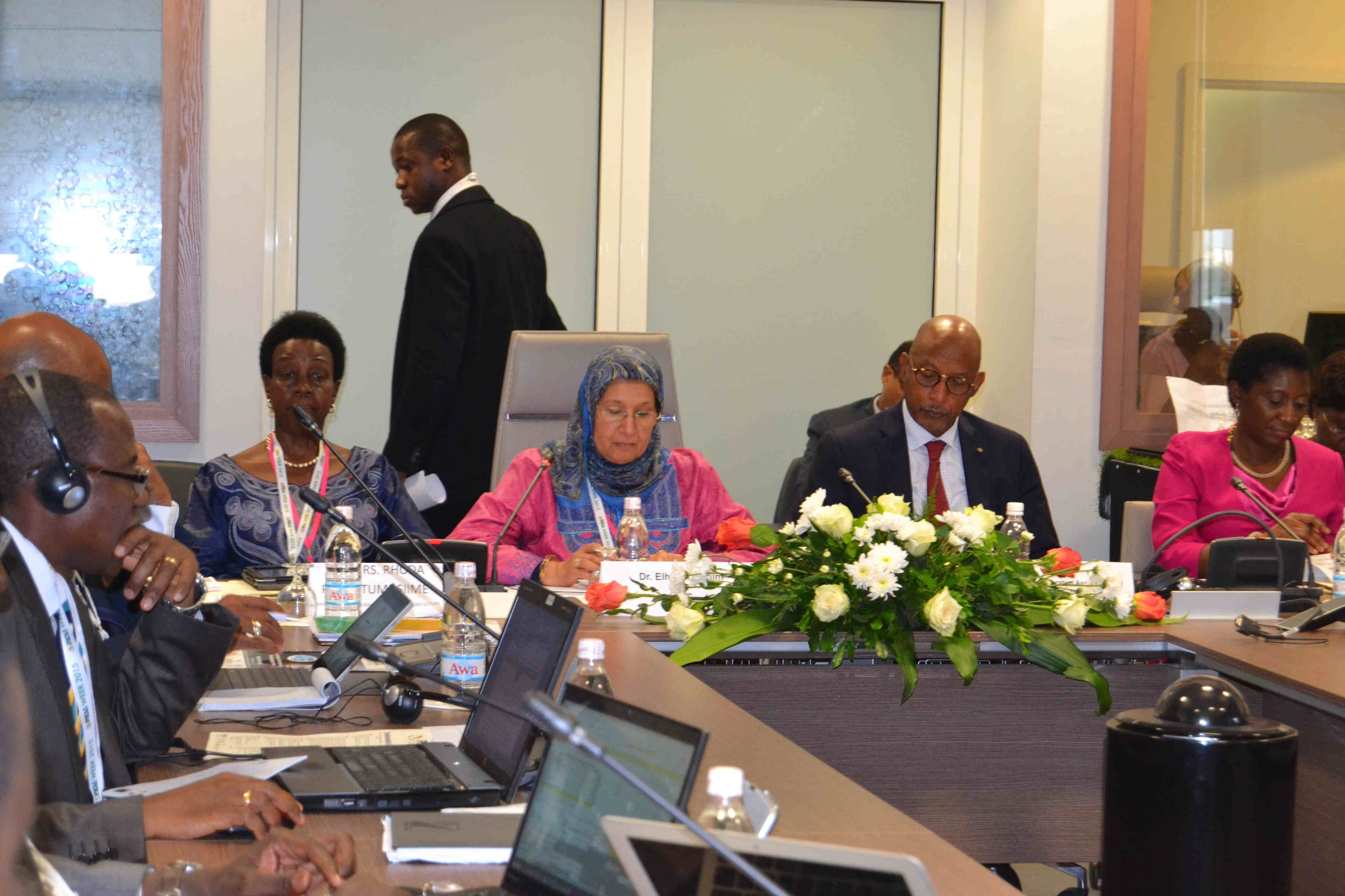 Infrastructure Advisory Group 2015