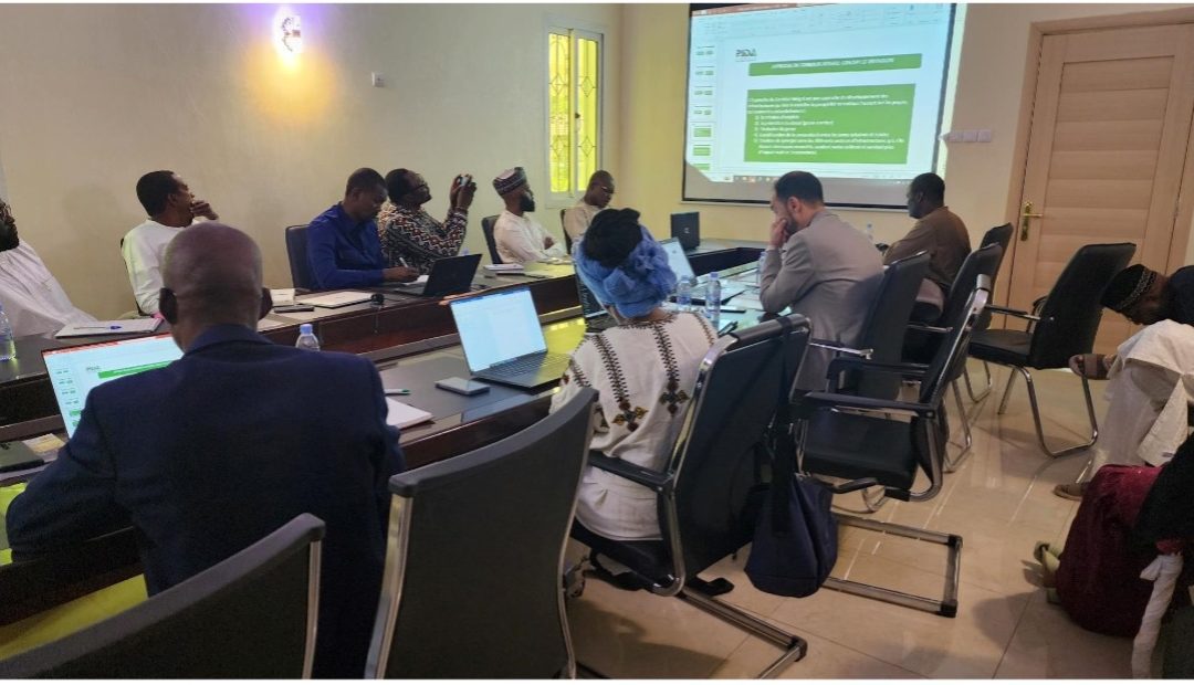 AUDA-NEPAD & FSPPI’s Joint Initiative in N’Djamena